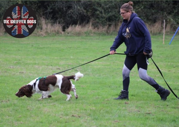 Tracking (Bronze & Silver) - UK Sniffer Dogs