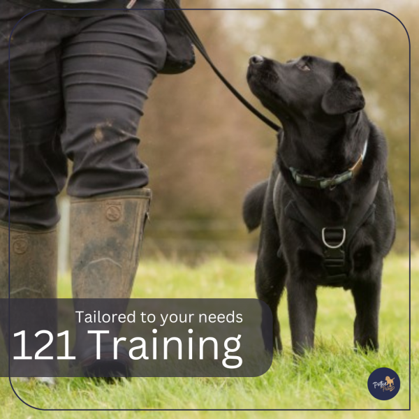 1-2-1 Training Programme