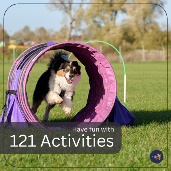 1-2-1 Activity sessions (Sniffers, Hoopers, Tracking)