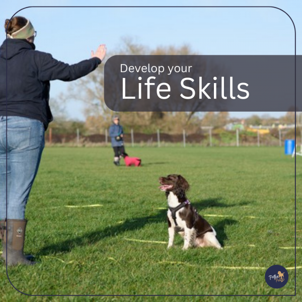 Life Skills