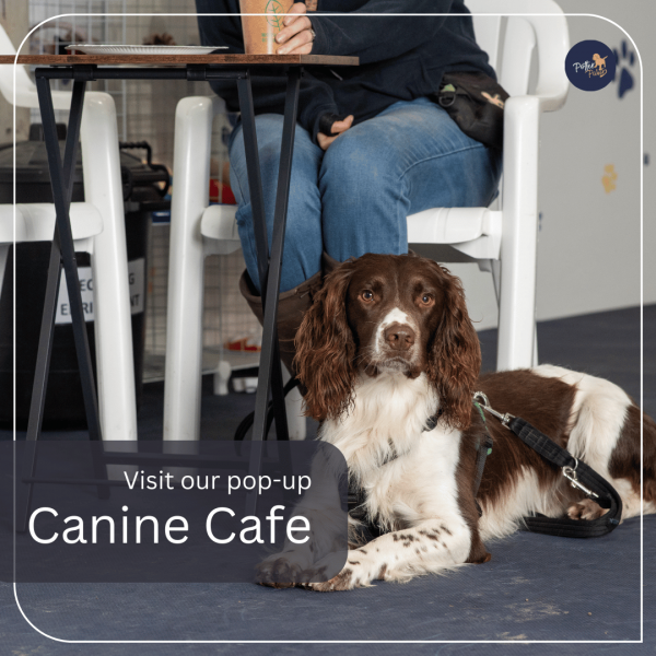Canine Cafe