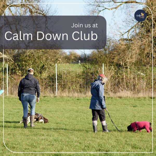 Calm Down Club (MEMBERS) - Invite only