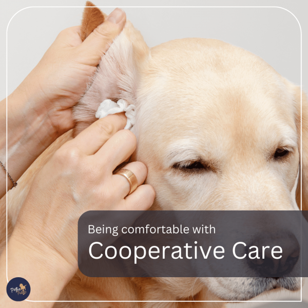 Cooperative Care