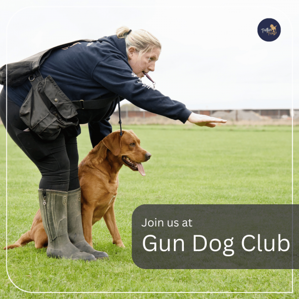 Gun Dog Club (MEMBERS)