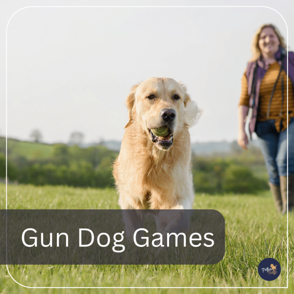 Gun Dog Games