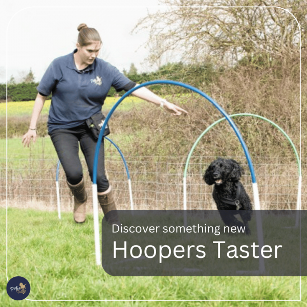 Hoopers Workshop