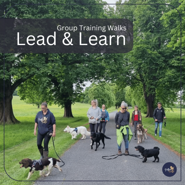 Lead & Learn