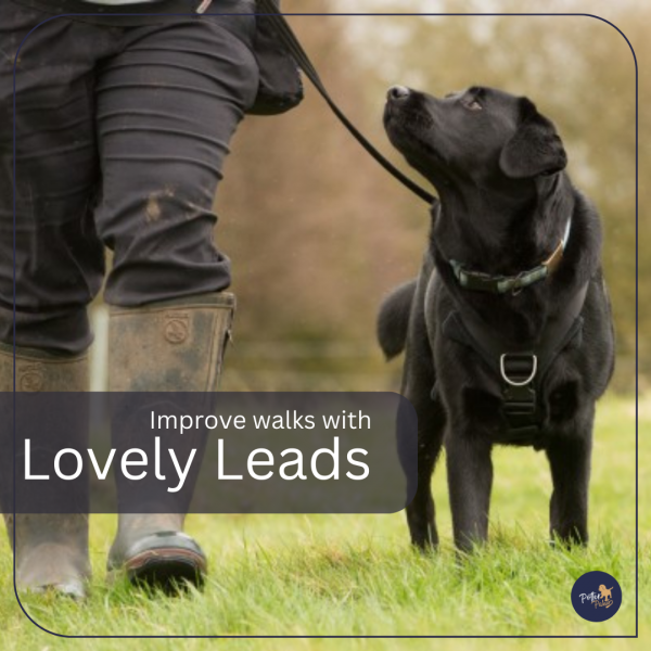 Lovely Leads