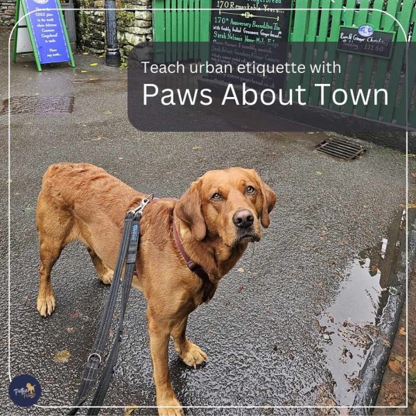 Paws About Town