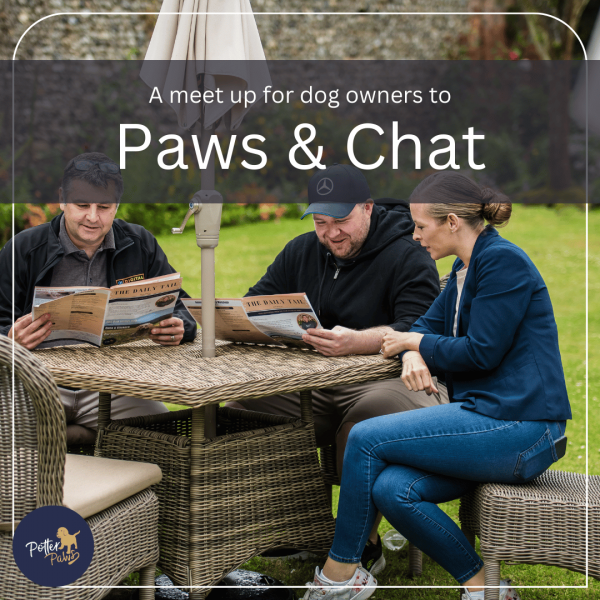 Paws & Chat
