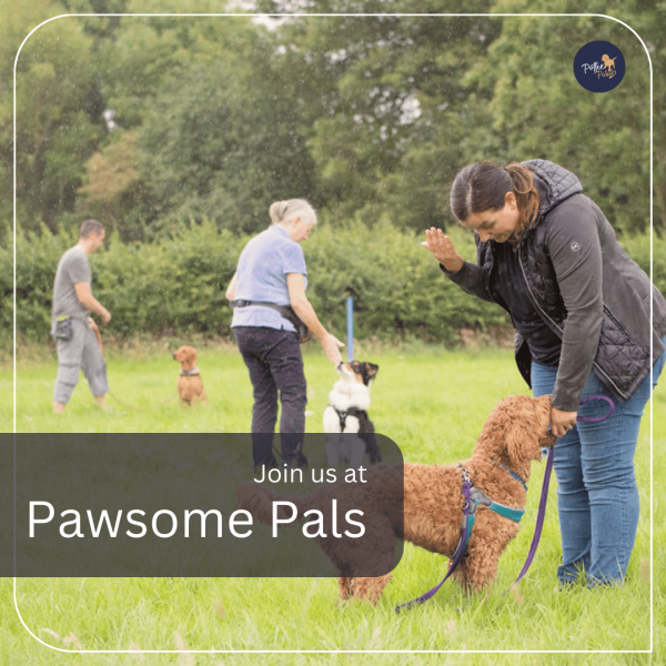 Pawsome Pals (MEMBERS)