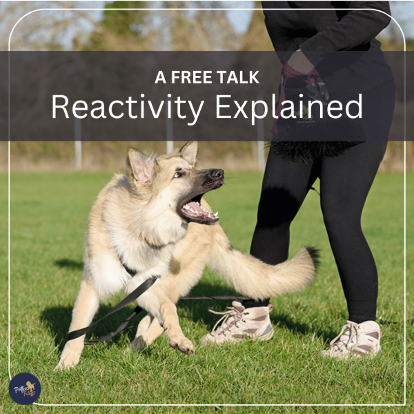 Reactivity Explained