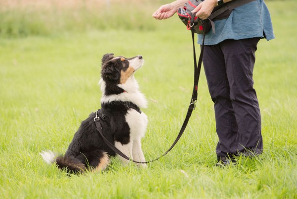 Loveliest Lead Walks 1-2-1 programme