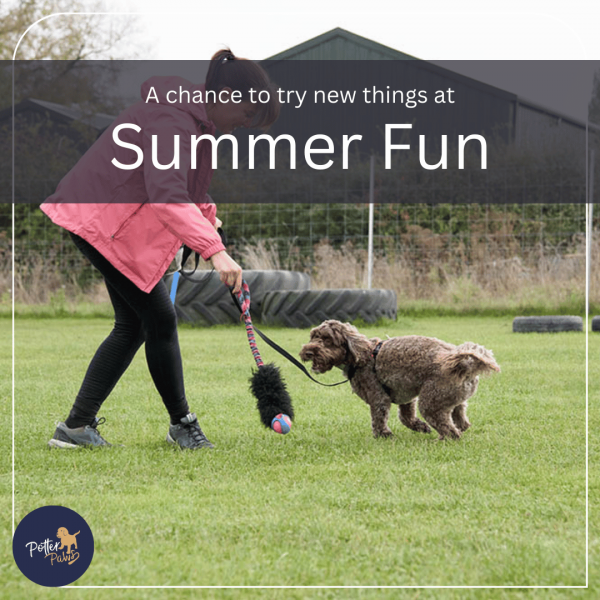 Summer Fun