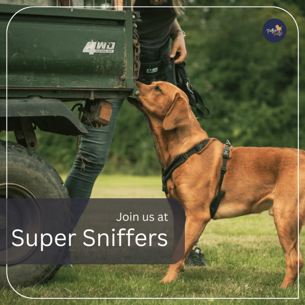 Super Sniffers (MEMBERS)