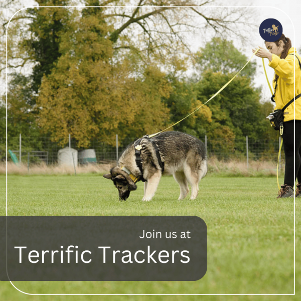 Terrific Trackers (MEMBERS)