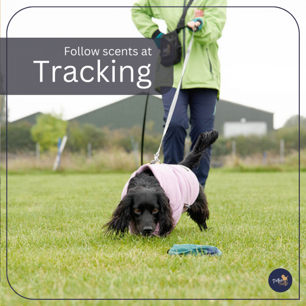 Tracking Workshop