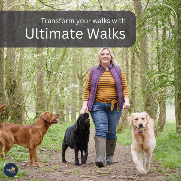 Ultimate Walks