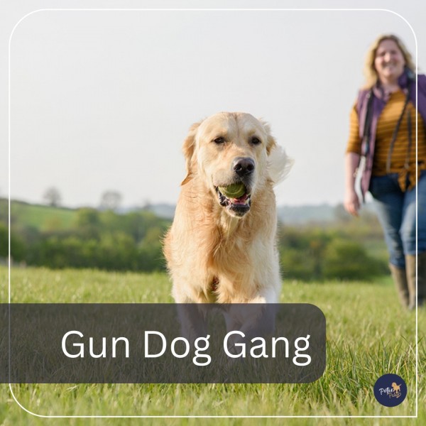 GunDog Gang (MEMBERS)